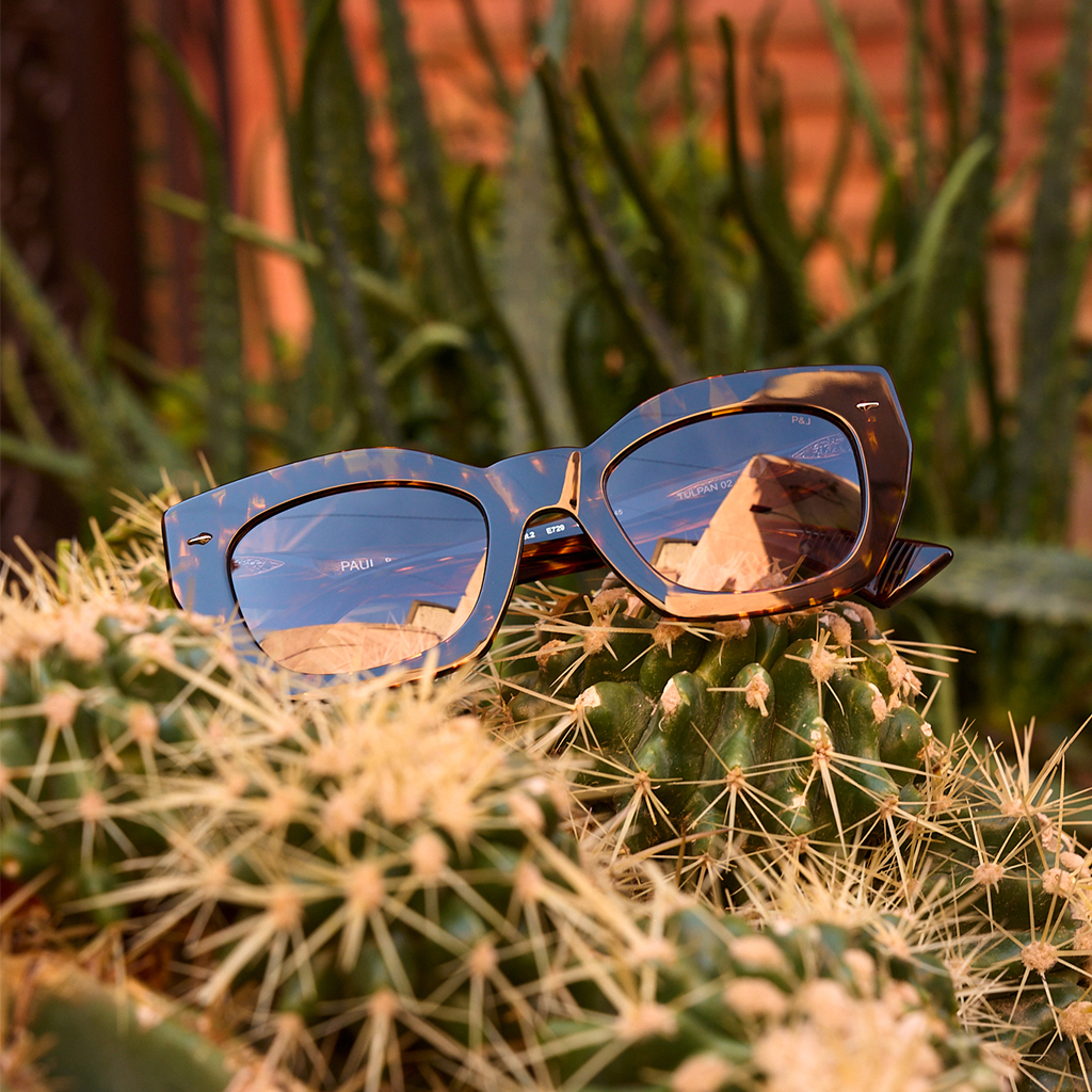 Lunettes De Soleil Grandes Zero UV - Neuves Avec étiquettes, Protection Totale, Mode Femme
